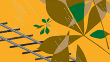 Visuel de feuilles et rails