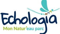 Logo Echologia