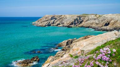Photo de la cote sauvage de quiberon, en fleur, et sous le soleil 