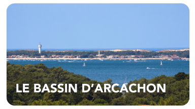 Le bassin d'Arcachon