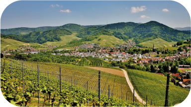 Vignette route des vins